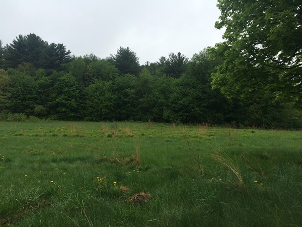 210 Oakham Road Barre, MA 01005 - Photo 5 of 17 a view of outdoor space and yard