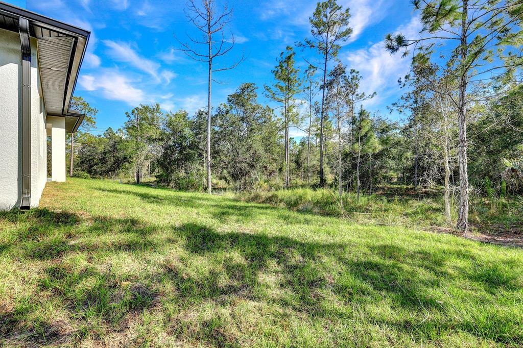 2002 East 10th Street Lehigh Acres, FL 33936 - Photo 24 of 25 a view of outdoor space and yard