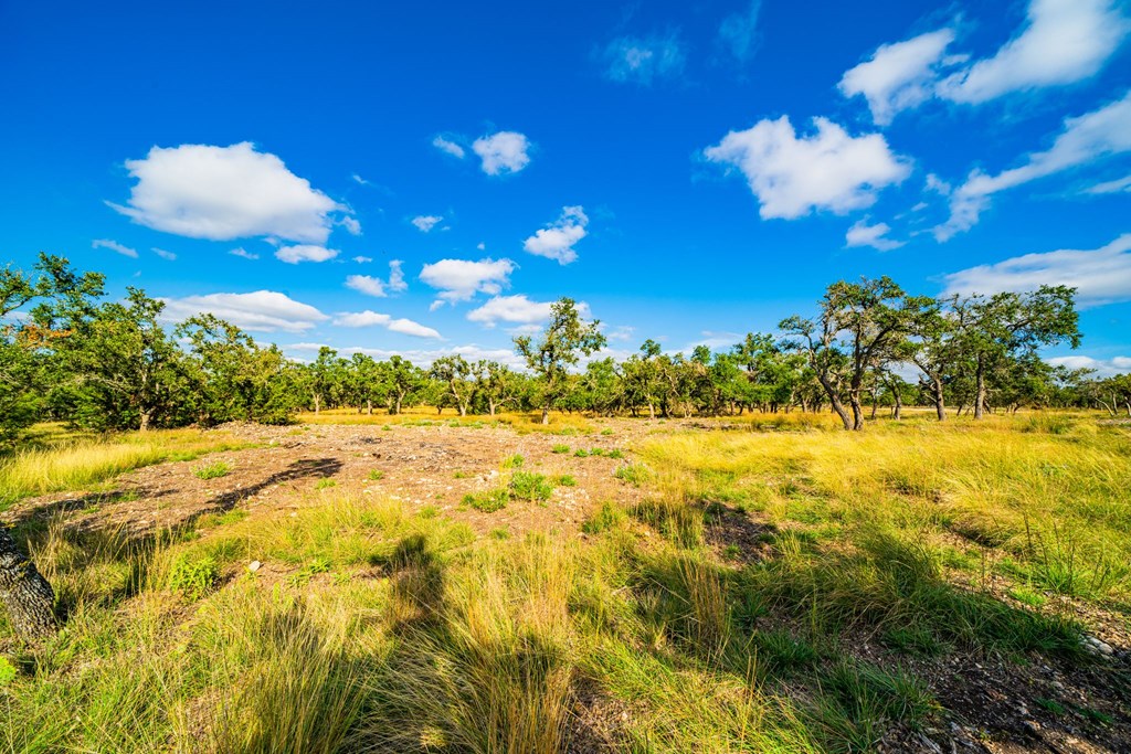 Lot 31 Reservation Road, Unit 31 Harper, TX 78631 - Photo 2 of 6 Gallery Image 2