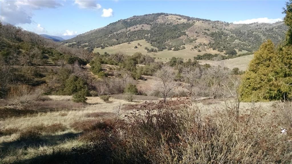 0 Farmer Road Julian, CA 92036 - Photo 1 of 1 a view of a dry yard with mountains in the background