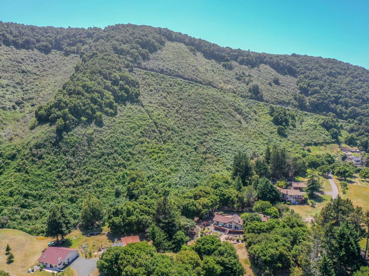 27470 Schulte Road Carmel, CA 93923 - Photo 44 of 56 a view of a bunch of trees and bushes