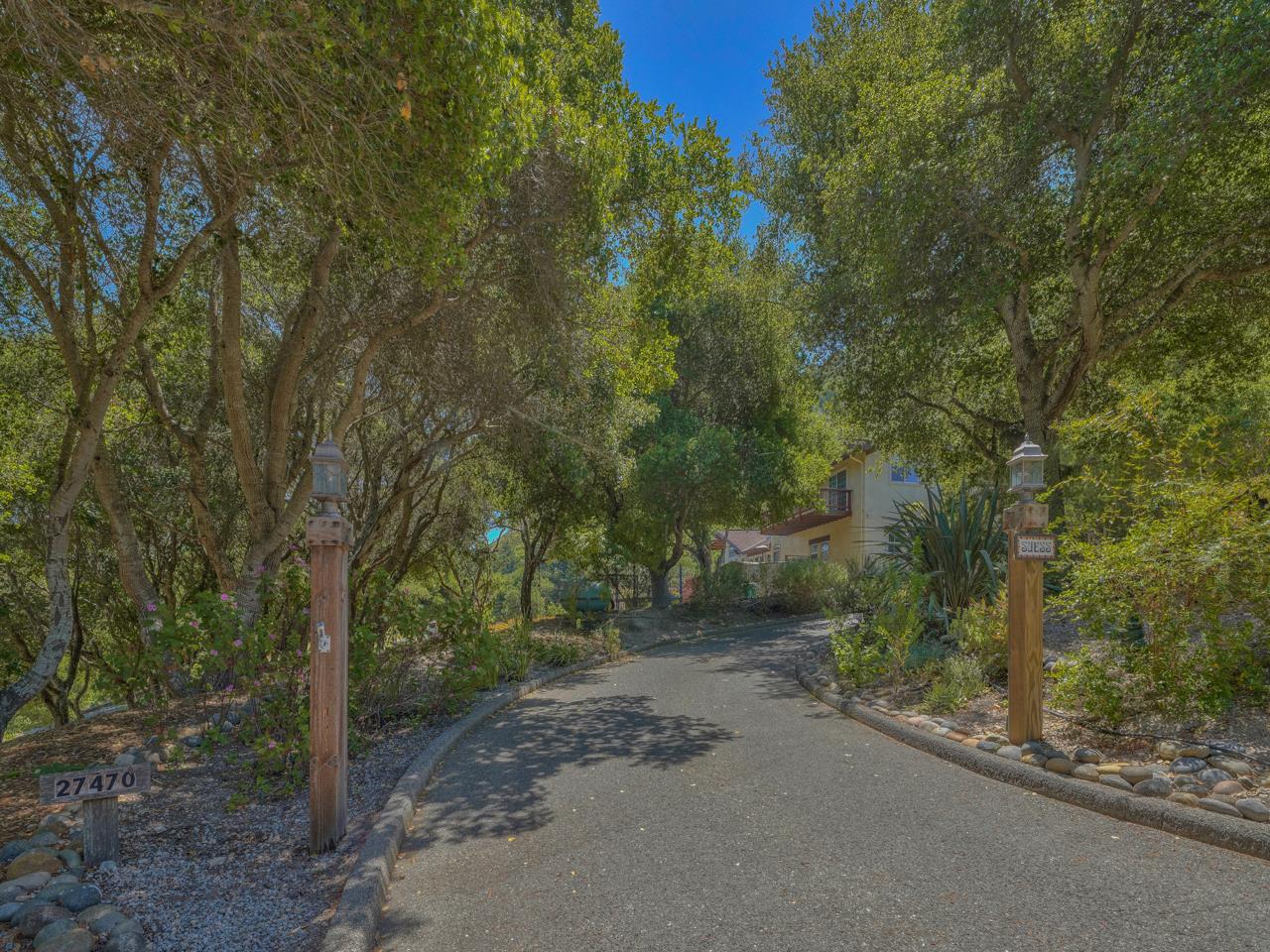 27470 Schulte Road Carmel, CA 93923 - Photo 45 of 56 a view of a forest with trees