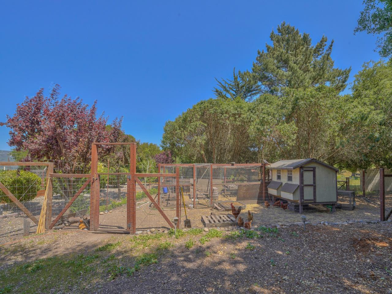 27470 Schulte Road Carmel, CA 93923 - Photo 54 of 56 a view of backyard with green space