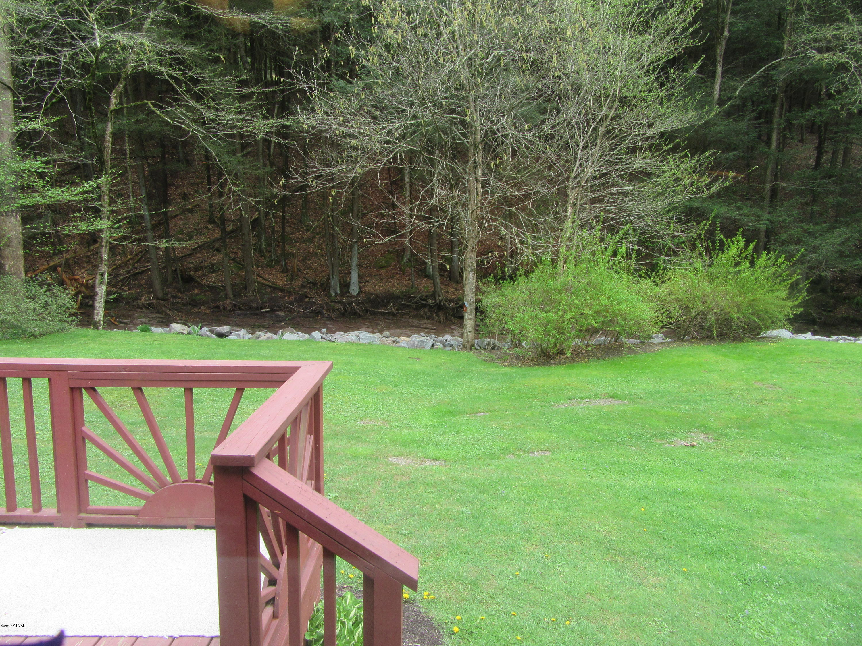 1510 Slacks Run Road Trout Run, PA 17771 - Photo 29 of 42 Back Yard