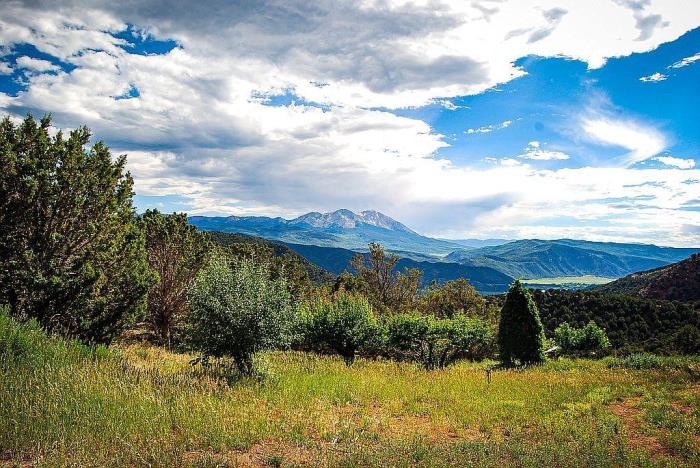 2500 Cedar Drive Basalt, CO 81621 - Photo 2 of 59