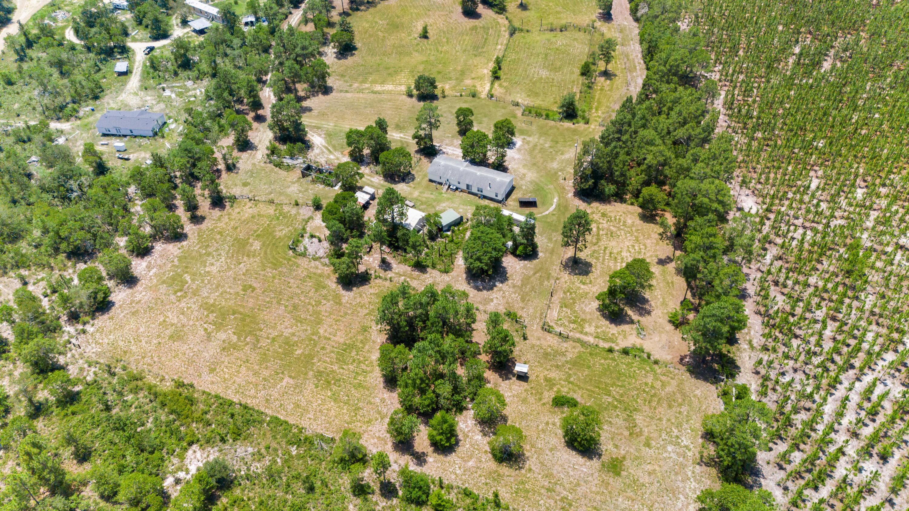 798 Big Branch Road Wagener, SC 29164 - Photo 5 of 63