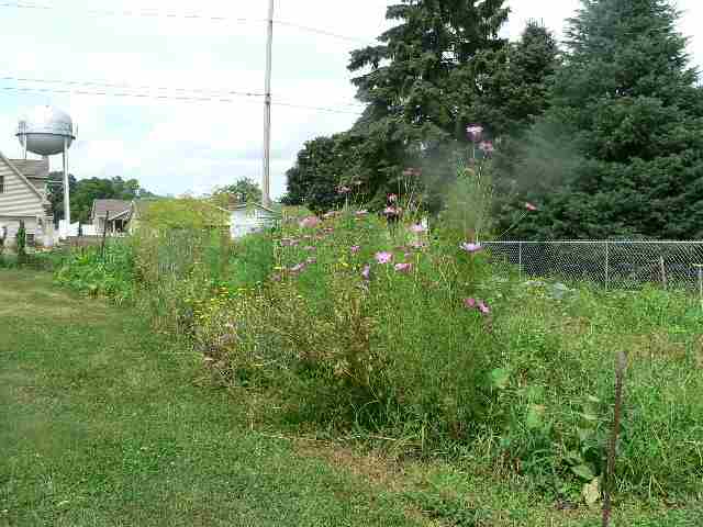 208 South Locust Street Lacon, IL 61540 - Photo 3 of 8 Gallery Image 3