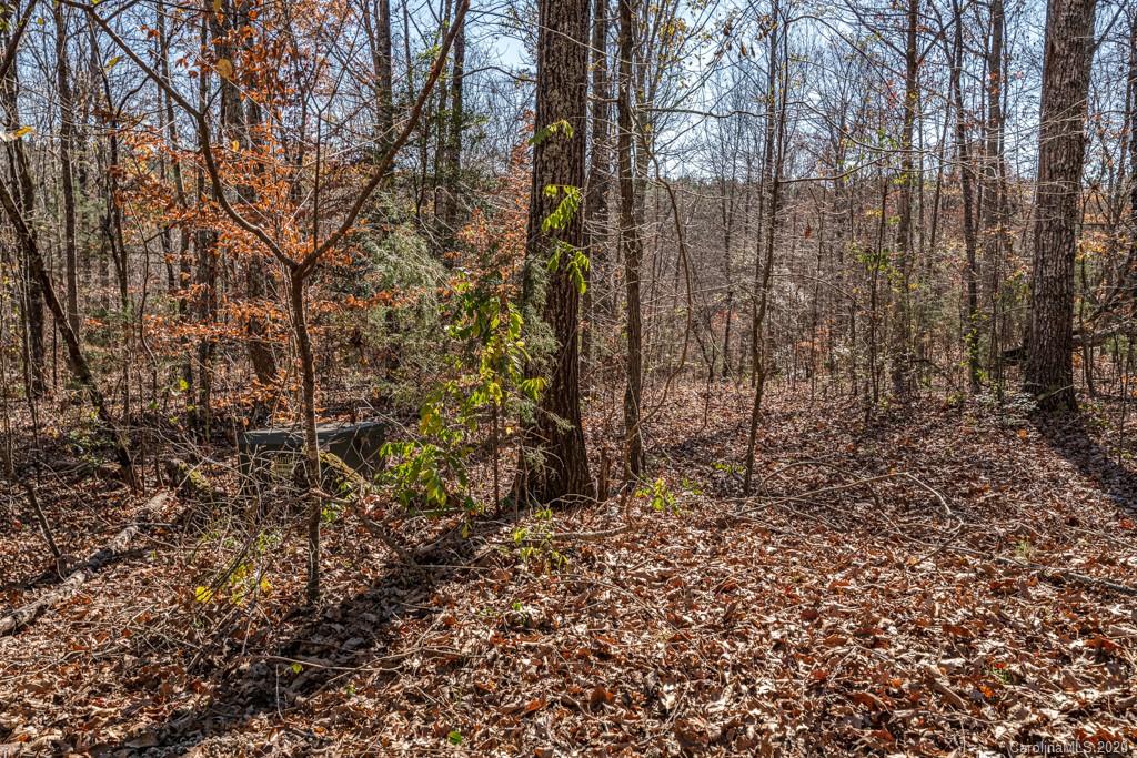 2156 Poarch Road Lincolnton, NC 28092 - Photo 44 of 48 Gallery Image 44