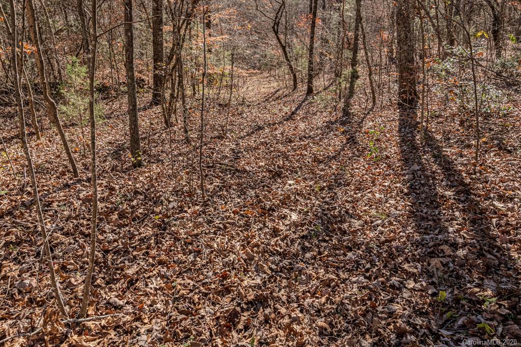 2156 Poarch Road Lincolnton, NC 28092 - Photo 45 of 48 Gallery Image 45