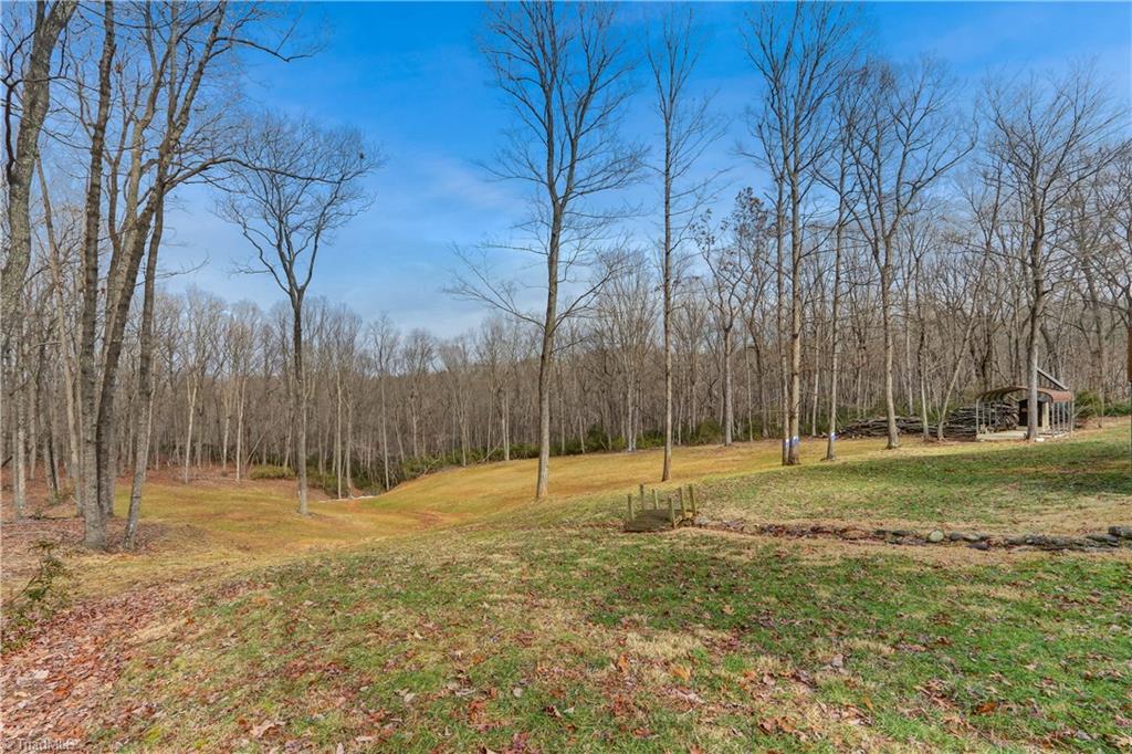 8605 Tuttle Ridge Road Germanton, NC 27019 - Photo 24 of 30 Another view of the backyard.