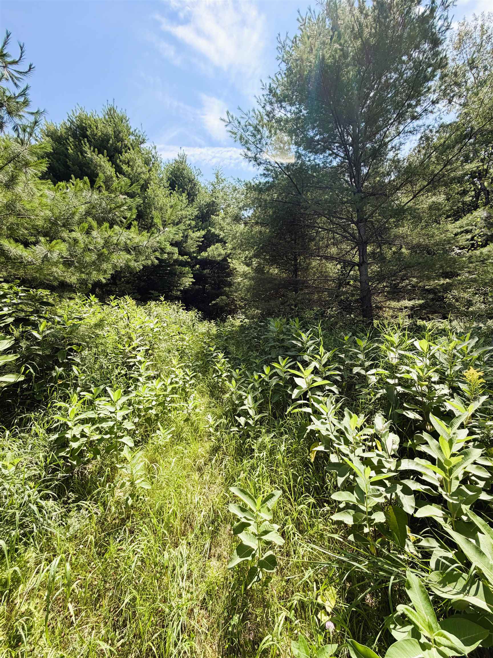 0 Osgood Farm Road Littleton, NH 03561 - Photo 9 of 58 Gallery Image 9