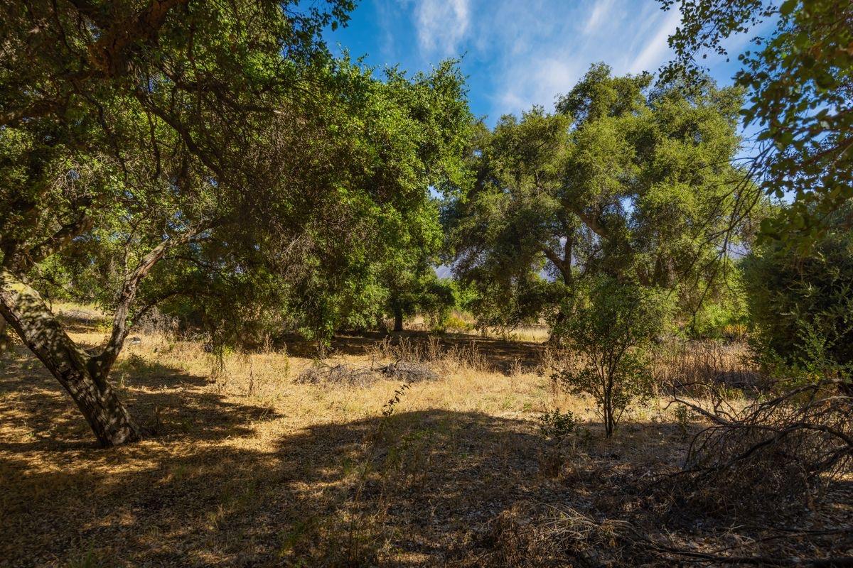 10331 Sulphur Mountain Road Ojai, CA 93023 - Photo 21 of 22
