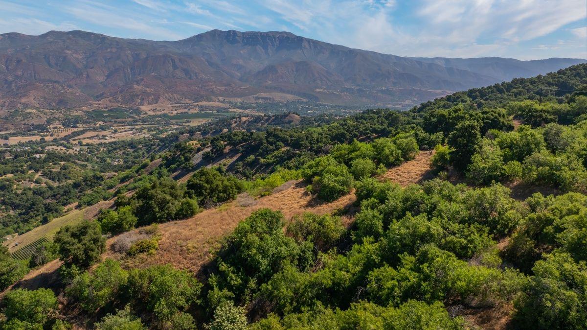 10331 Sulphur Mountain Road Ojai, CA 93023 - Photo 6 of 22