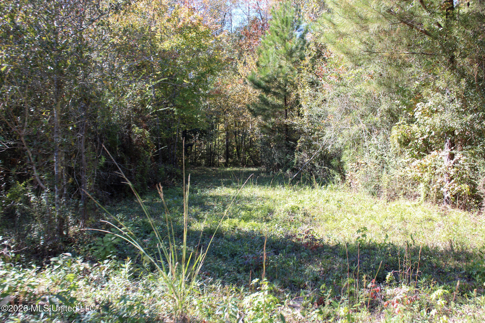 2 Gibson Road McComb, MS 39648 - Photo 3 of 7 IMG_0581