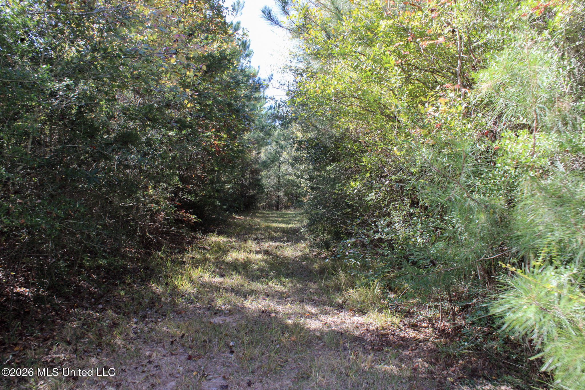 2 Gibson Road McComb, MS 39648 - Photo 4 of 7 IMG_0609