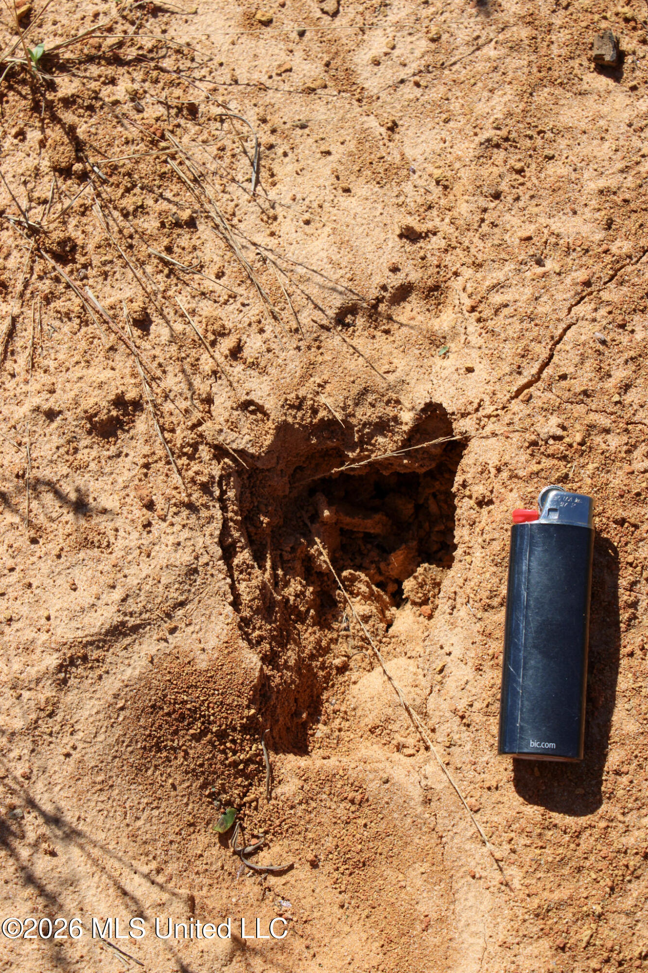 2 Gibson Road McComb, MS 39648 - Photo 6 of 7 IMG_0615