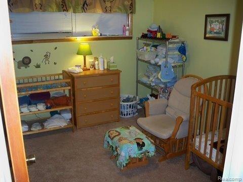 6125 Lynd Road Marlette, MI 48453 - Photo 9 of 10 6125 Lynd Bed 2