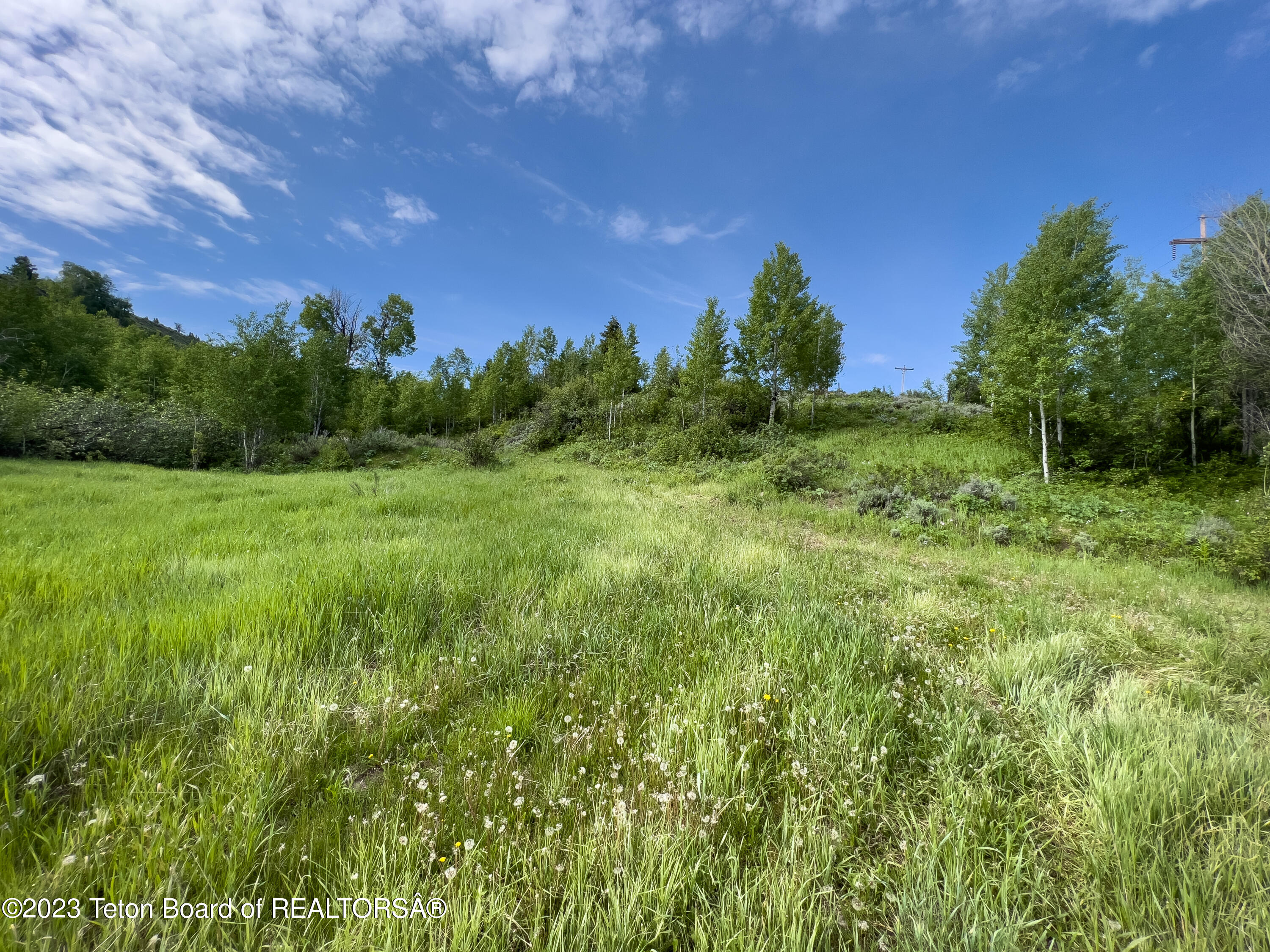 Rodeo Road Jackson, WY 83001 - Photo 10 of 25 Meadow