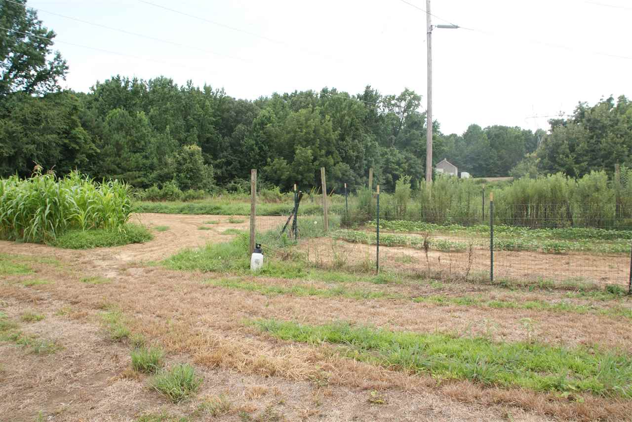 3454 Portersville Road Atoka, TN 38004 - Photo 8 of 10 Gallery Image 8