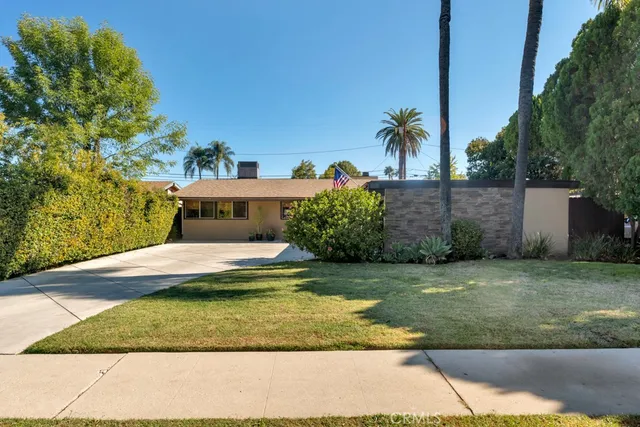 a view of a yard with plants