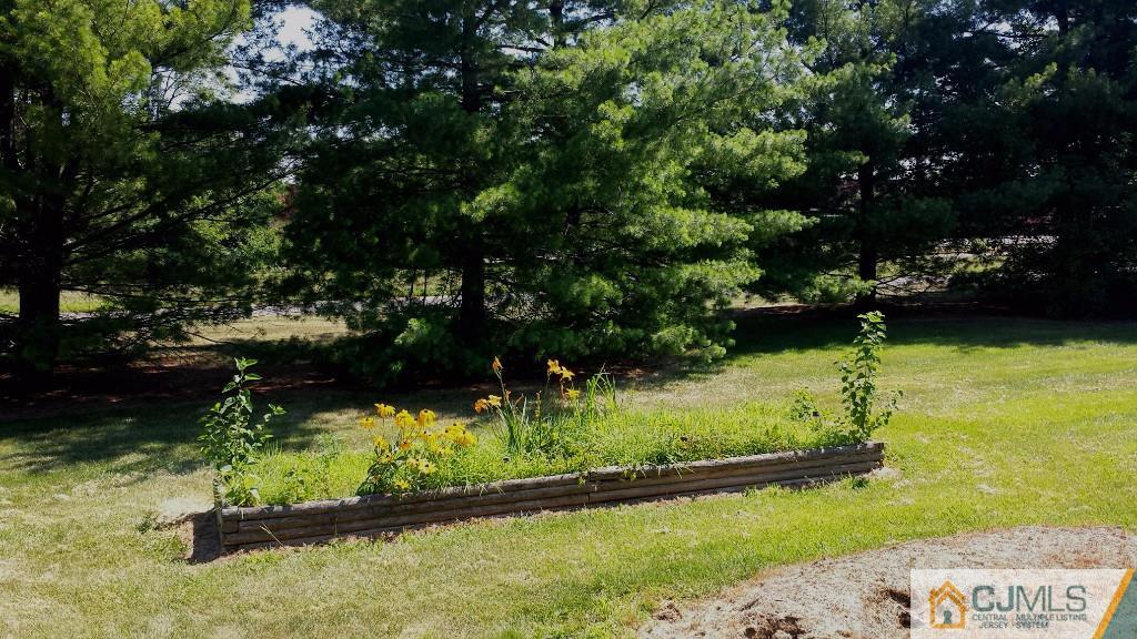 15 Longfellow Road, Unit 15 North Brunswick, NJ 08902 - Photo 12 of 12 a view of a garden