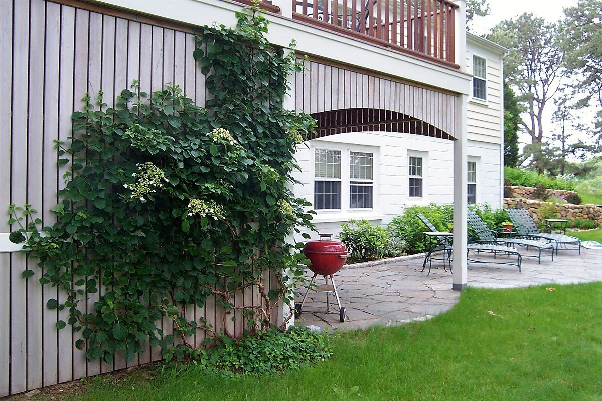 667 Old County Road West Tisbury, MA 02568 - Photo 2 of 35 Gallery Image 2