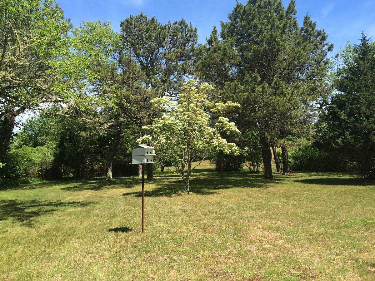 667 Old County Road West Tisbury, MA 02568 - Photo 29 of 35 Gallery Image 29