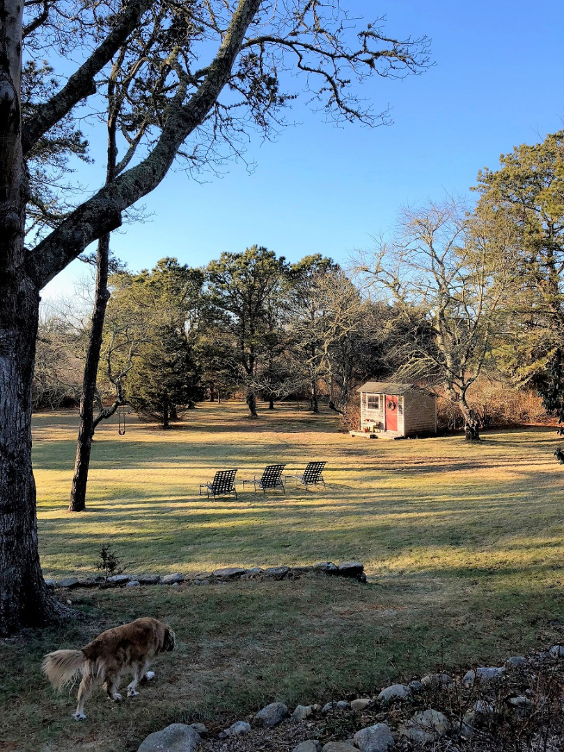 667 Old County Road West Tisbury, MA 02568 - Photo 34 of 35 Gallery Image 34