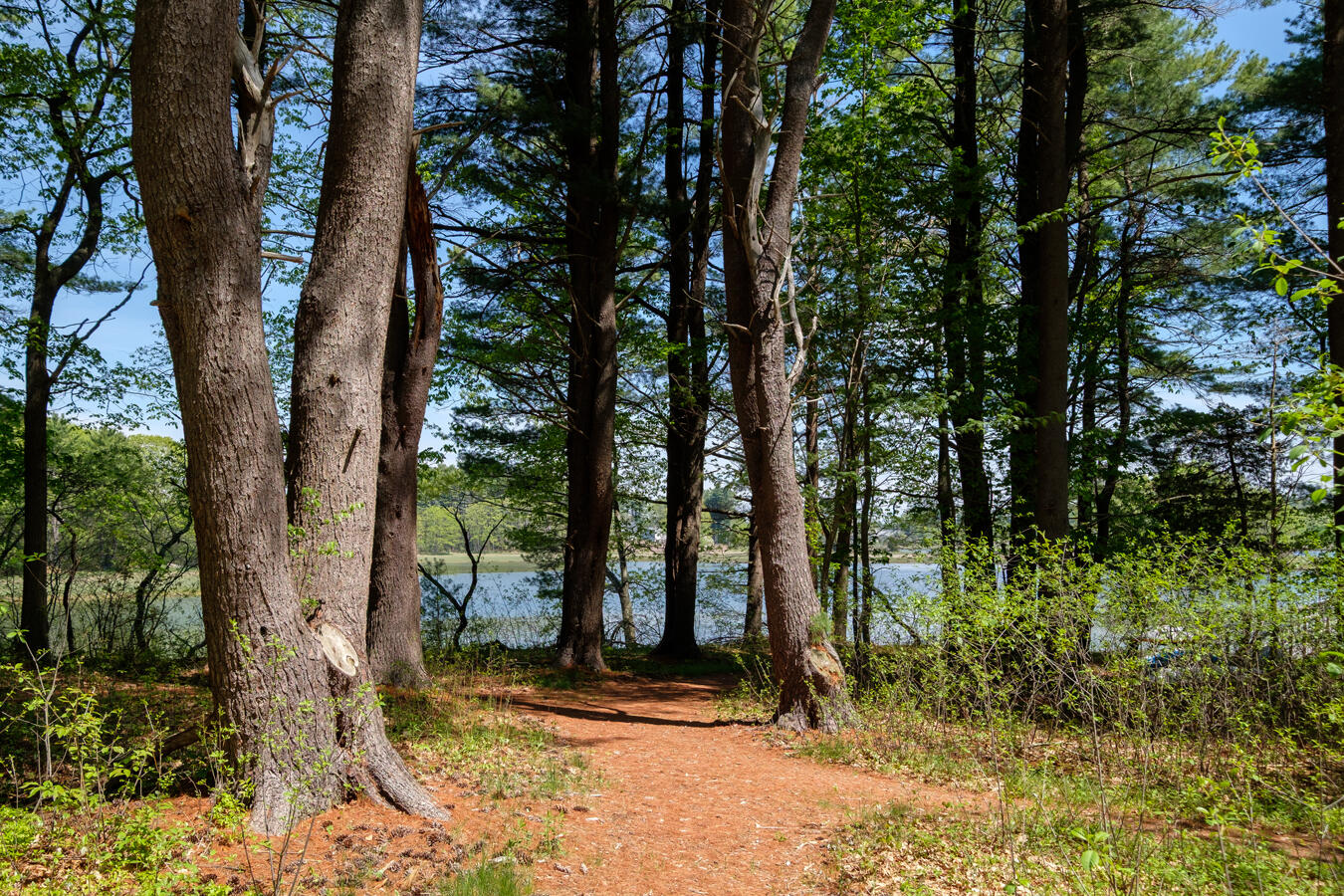 100 Shepard's Cove Road, Unit H305 Kittery, ME 03904 - Photo 38 of 45 Walking Trails