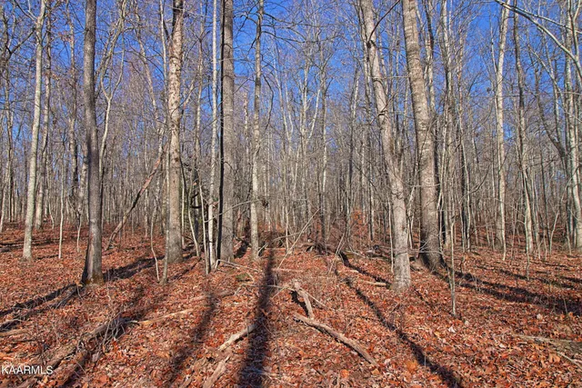 $400,000 | 72 Cole Place Road, Allardt, TN 38504