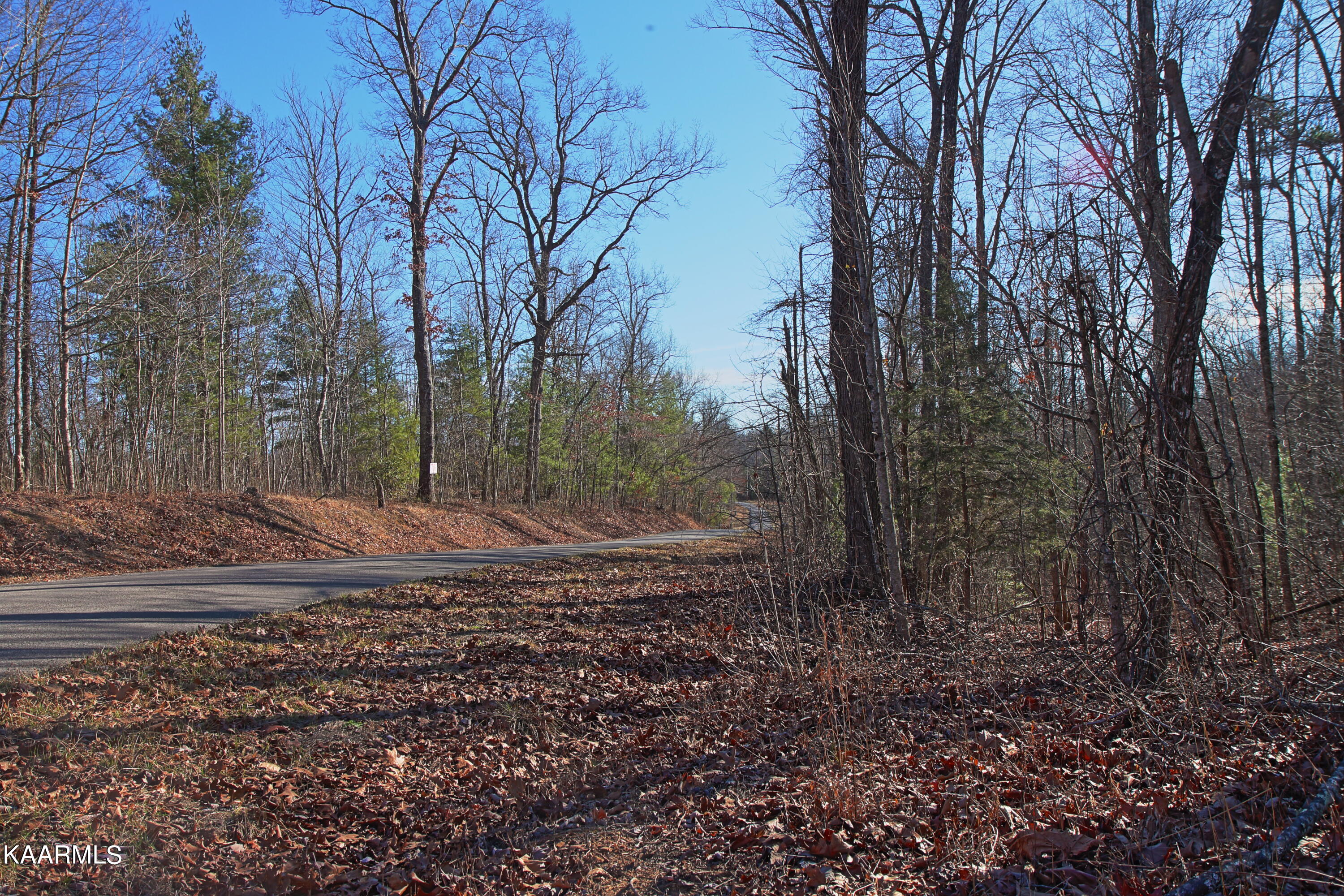 72 Cole Place Road Allardt, TN 38504 - Photo 11 of 13 z15