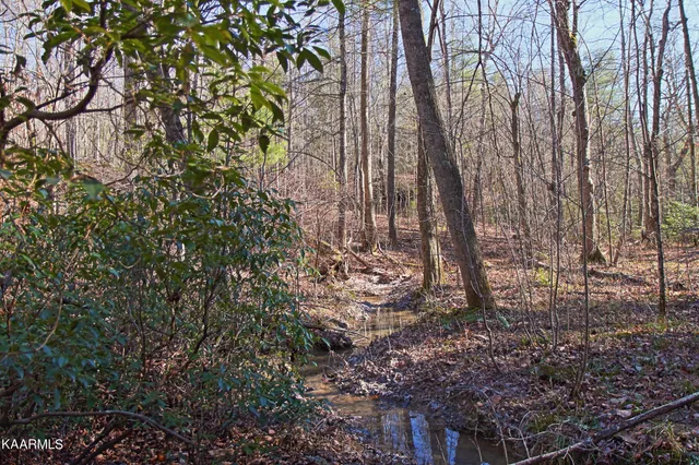 $400,000 | 72 Cole Place Road, Allardt, TN 38504