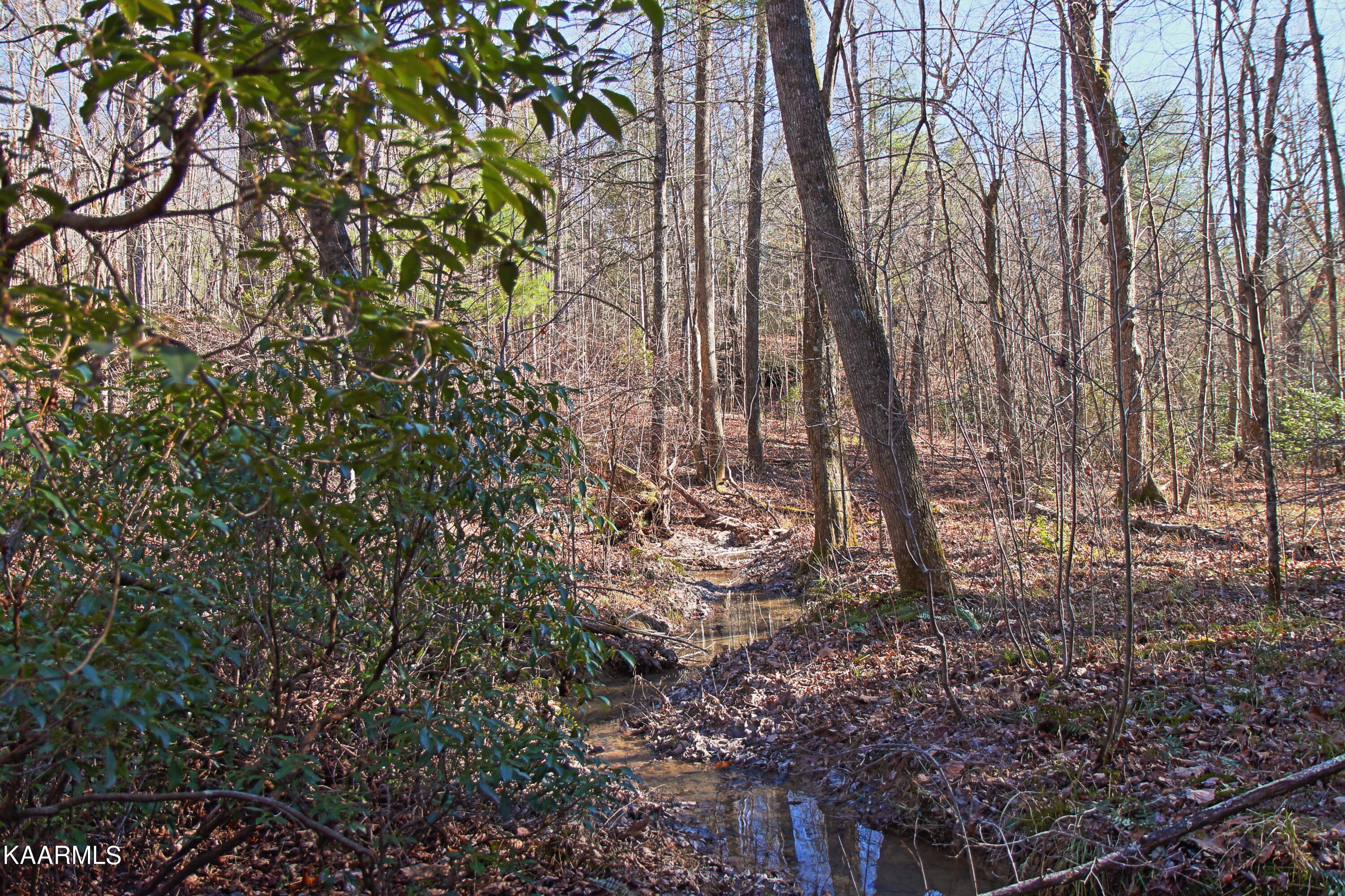 72 Cole Place Road Allardt, TN 38504 - Photo 4 of 13 z10