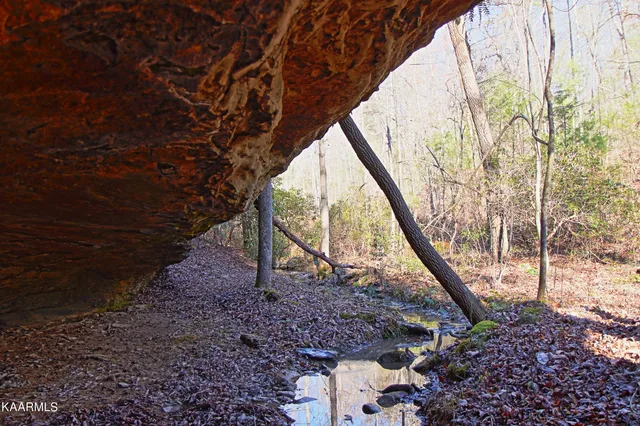 $400,000 | 72 Cole Place Road, Allardt, TN 38504