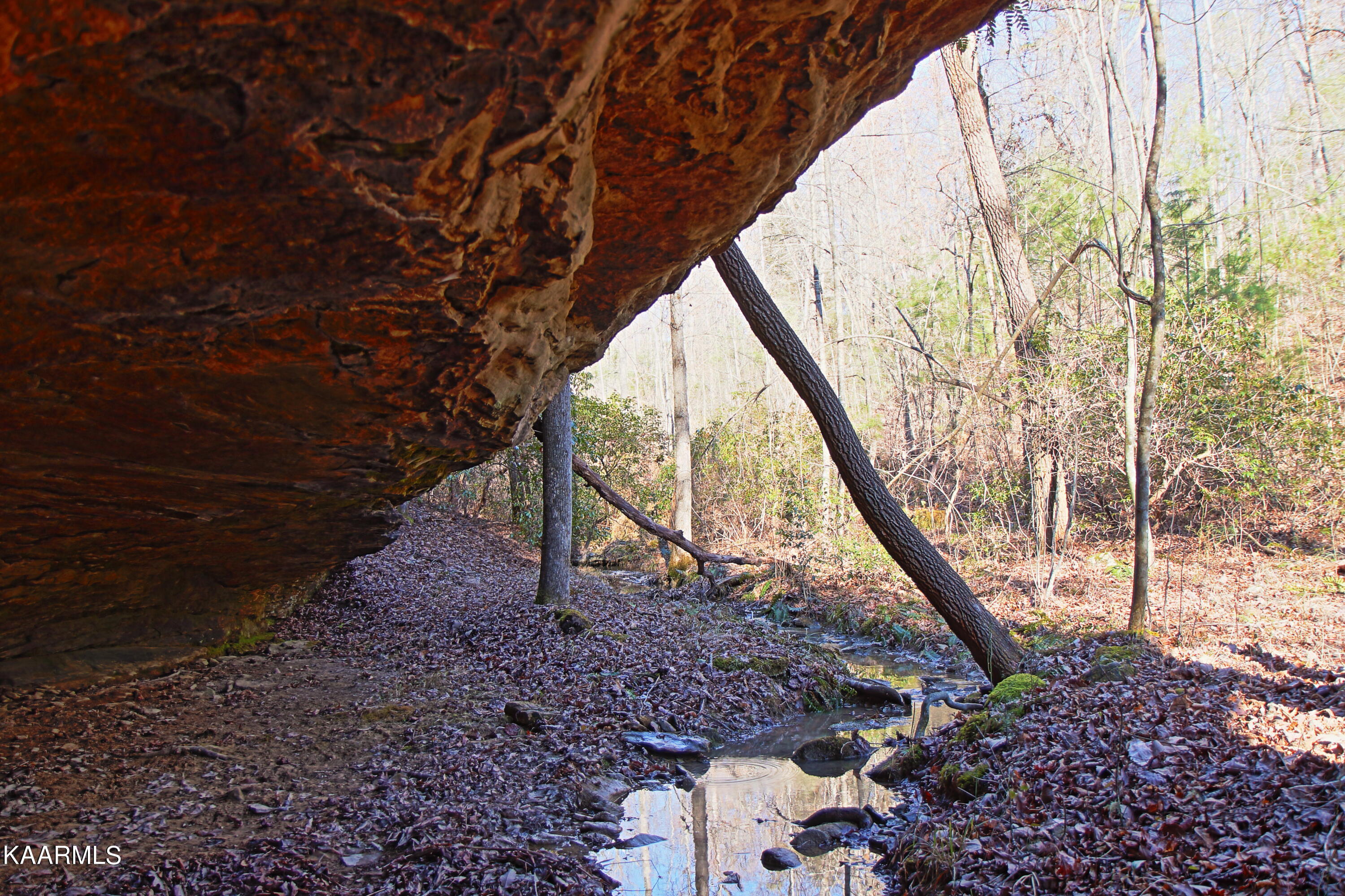 72 Cole Place Road Allardt, TN 38504 - Photo 5 of 13 z12