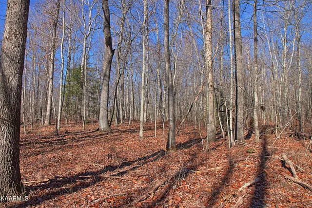 $400,000 | 72 Cole Place Road, Allardt, TN 38504