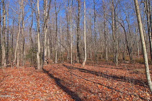 $400,000 | 72 Cole Place Road, Allardt, TN 38504