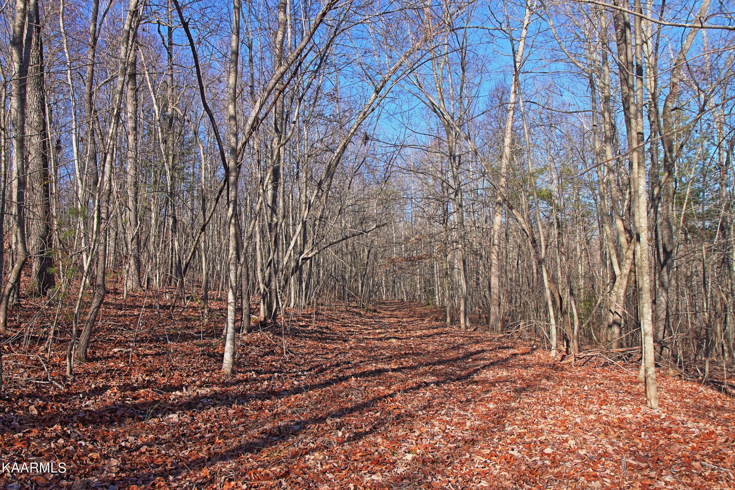 72 Cole Place Road Allardt, TN 38504 - Photo 10 of 13 z14