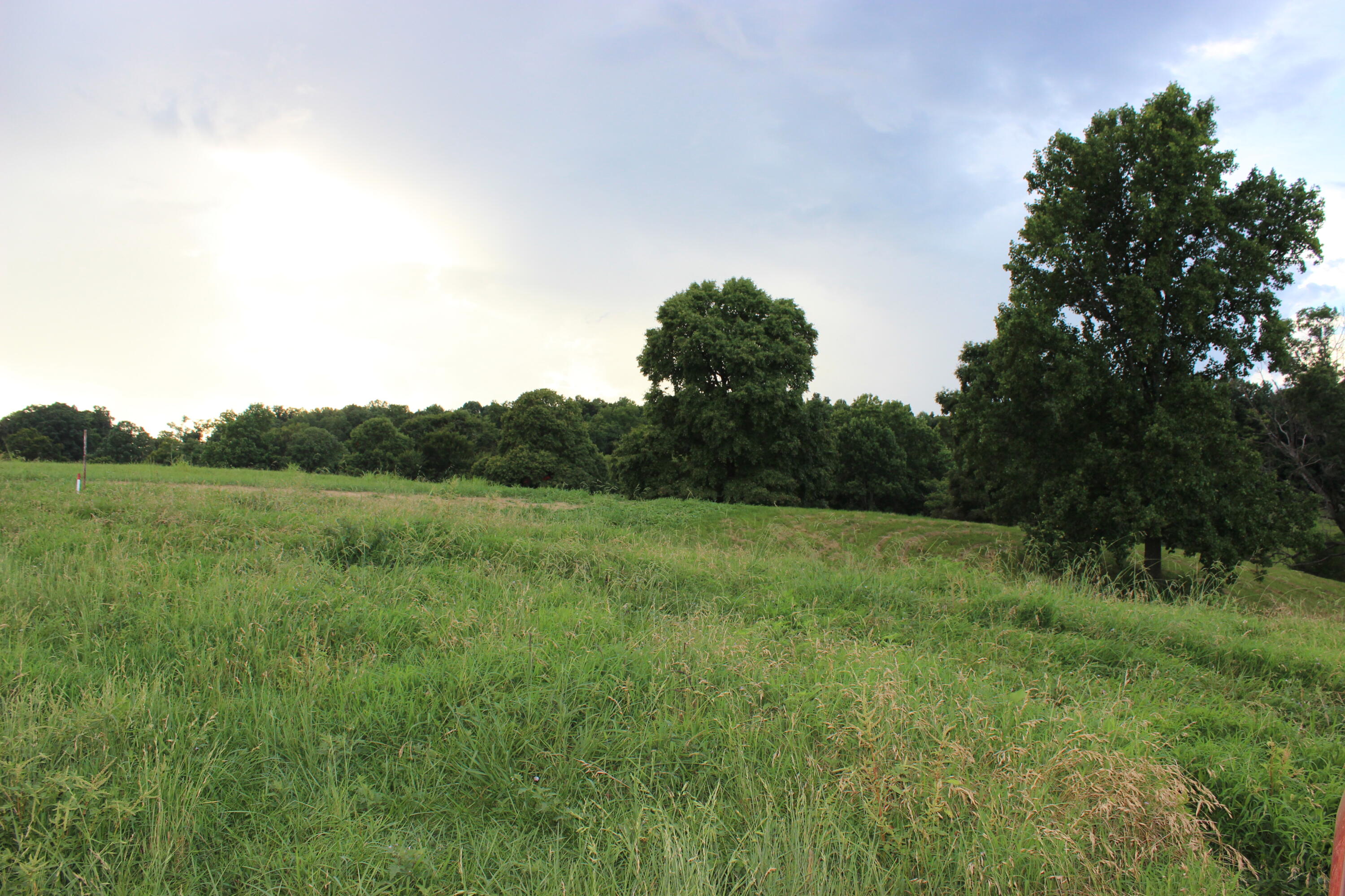Lot 9 Ducktown Road, Unit 9 Limestone, TN 37681 - Photo 3 of 11 IMG_8583