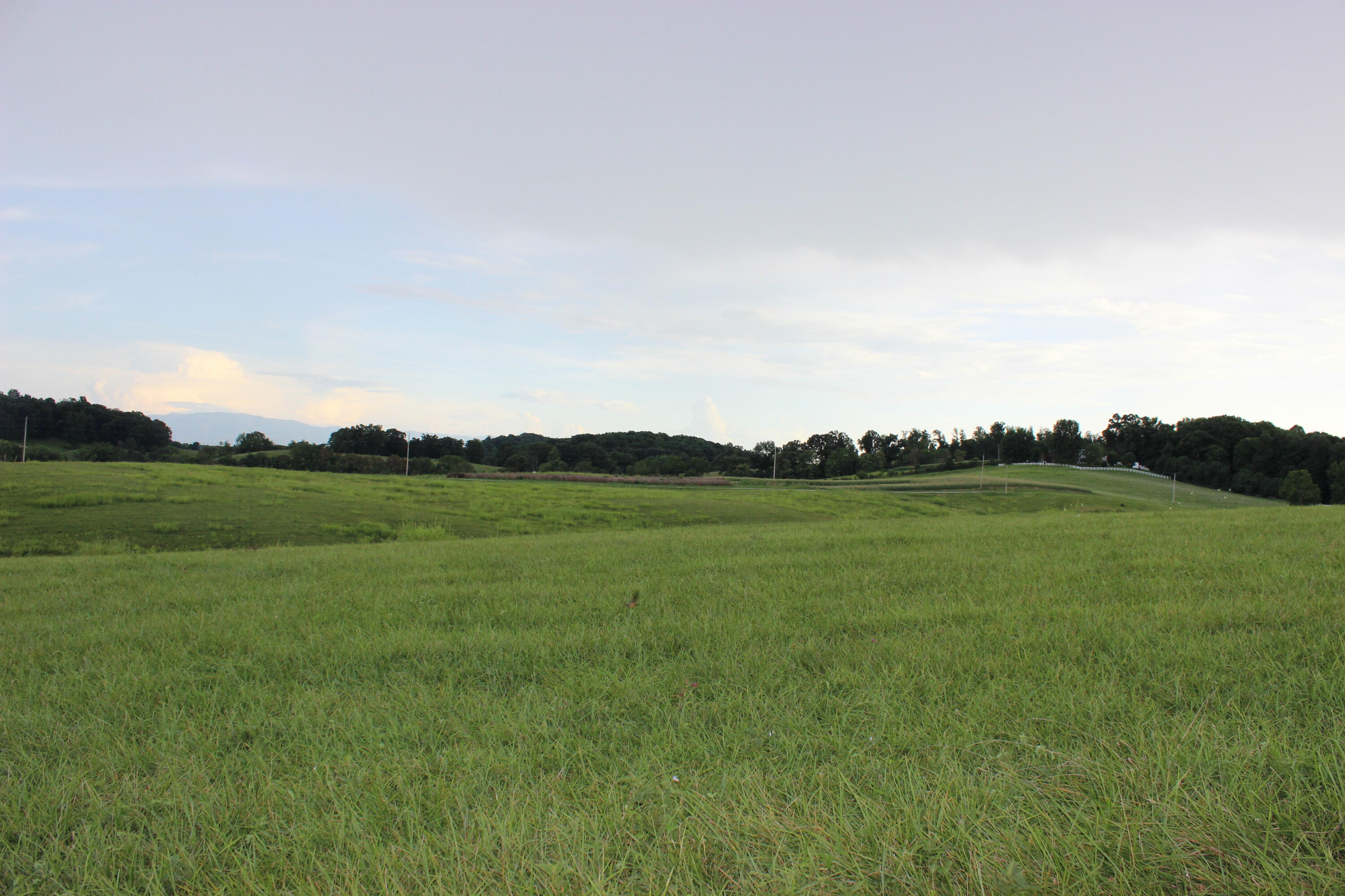 Lot 9 Ducktown Road, Unit 9 Limestone, TN 37681 - Photo 8 of 11 IMG_8608