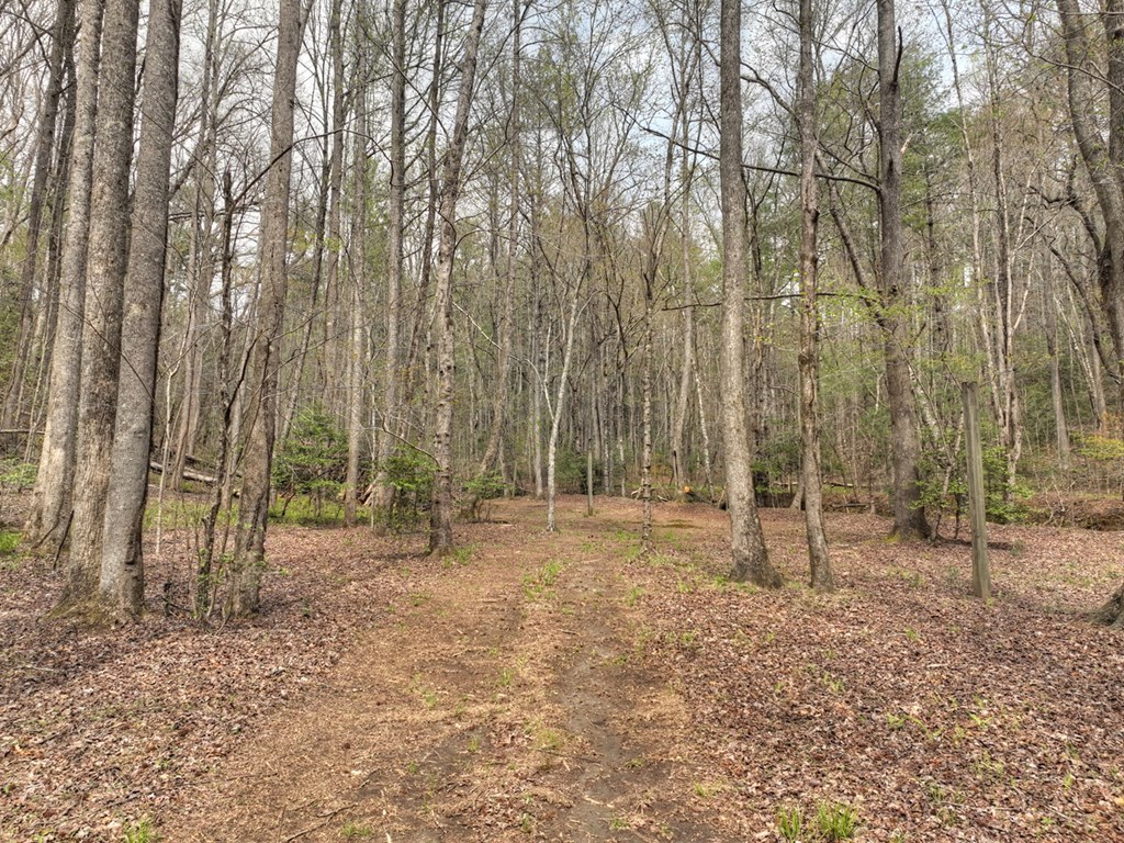 9.13-ac Hells Hollow Road Blue Ridge, GA 30513 - Photo 34 of 59 Gallery Image 34
