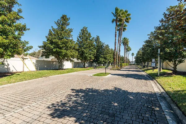 a view of a yard with palm tree