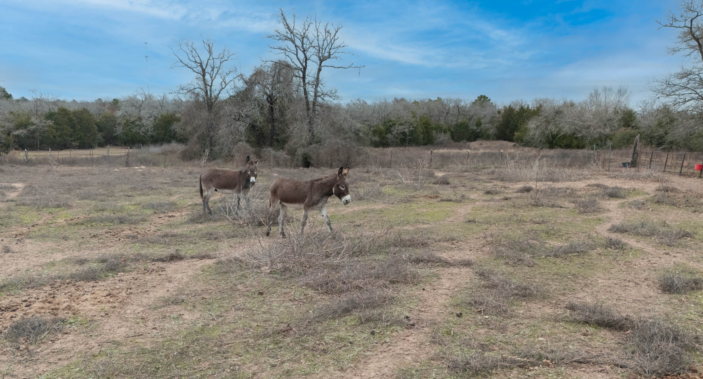 920 Old Potato Road Paige, TX 78659 - Photo 18 of 18