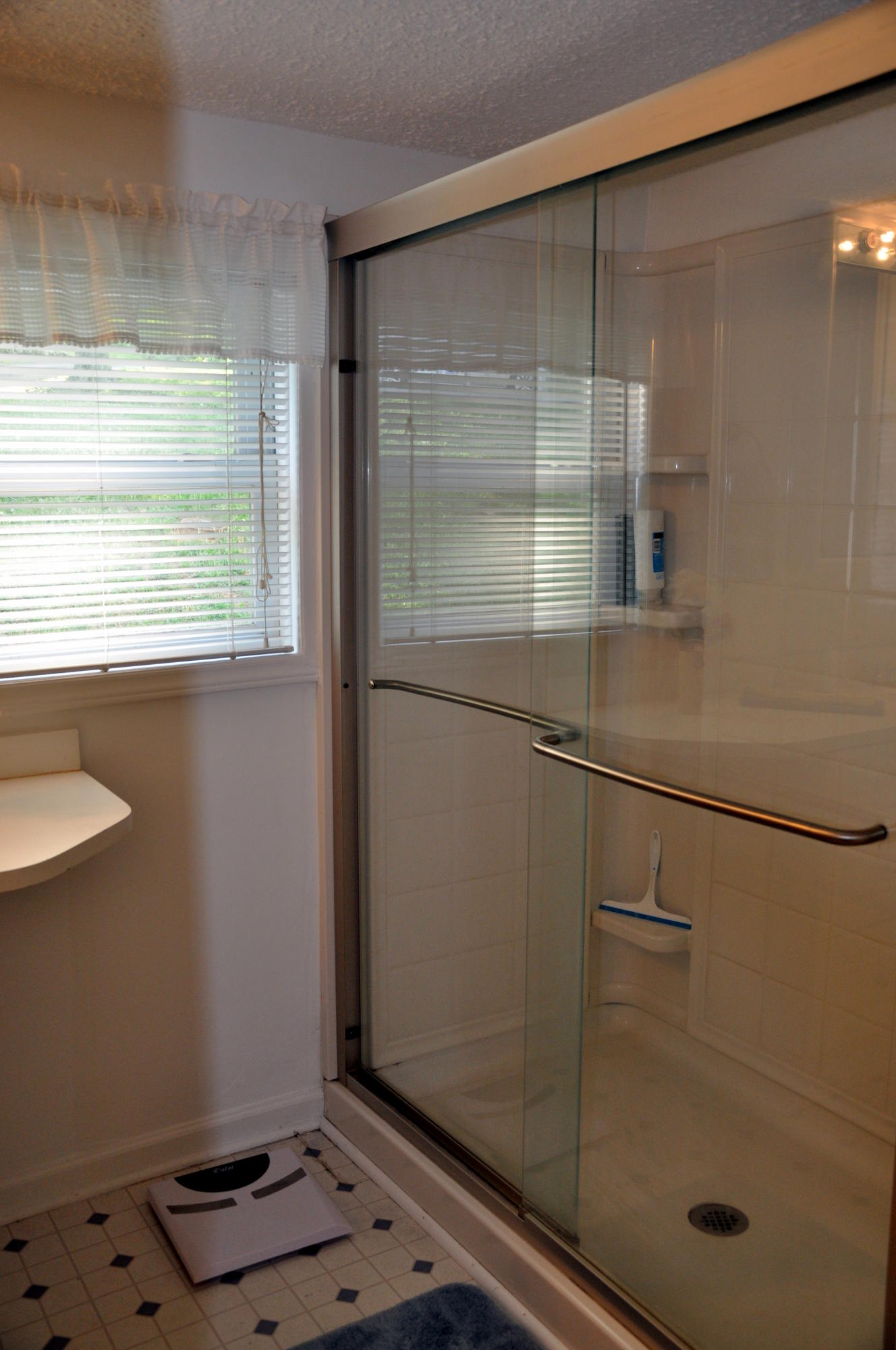 3065 Mowles Road Salem, VA 24153 - Photo 8 of 75 NEWER WALK IN SHOWER
