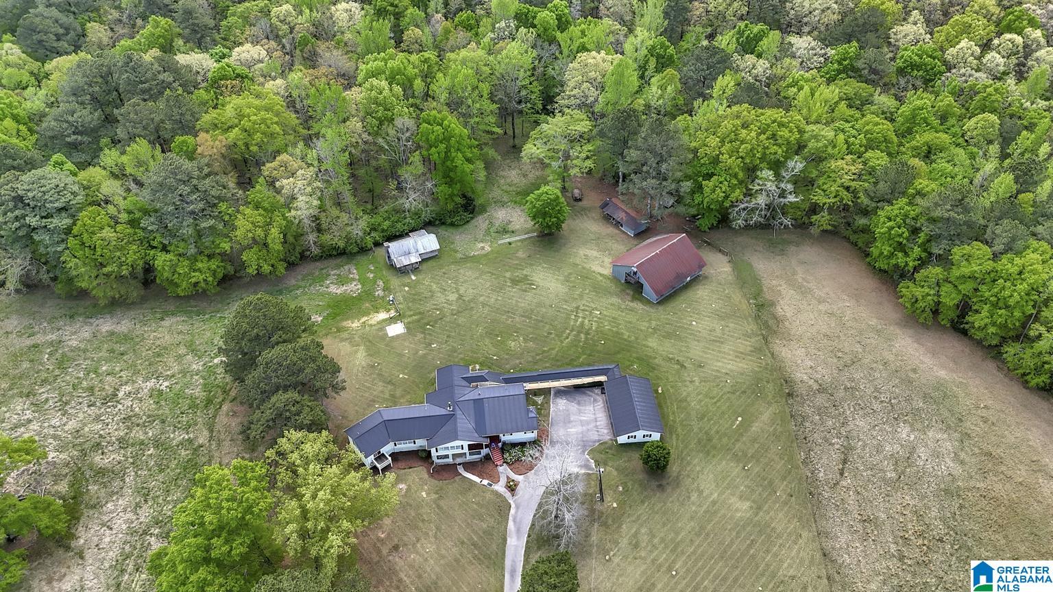 515 Hoyt Hill Road Ashville, AL 35953 - Photo 4 of 49