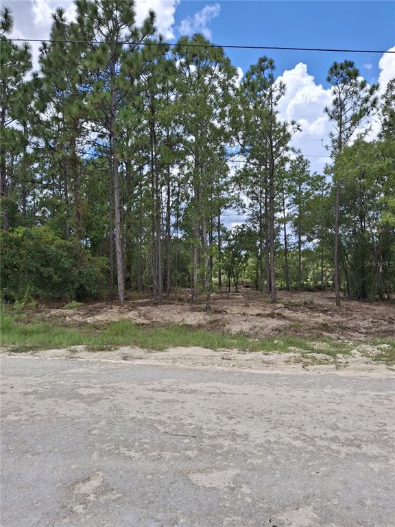 14167 Condor Road Weeki Wachee, FL 34614 - Photo 1 of 8 Gallery Image 1