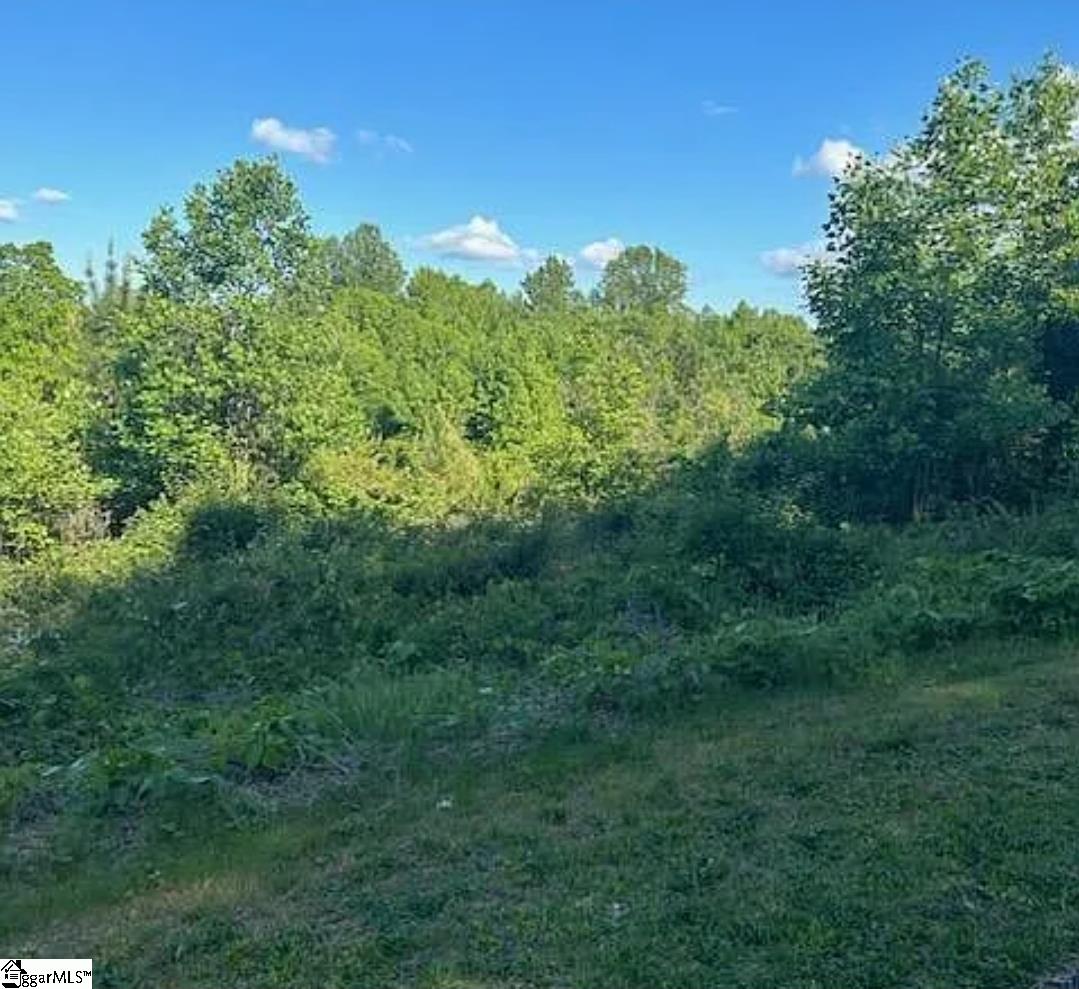 348 Katie Lane, Unit LOT 22 Easley, SC 29640 - Photo 1 of 6