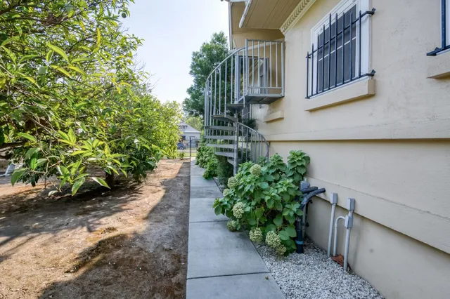 a view of a park with plants and trees