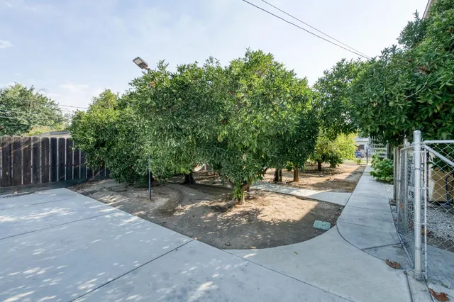 a view of a backyard with potted plants
