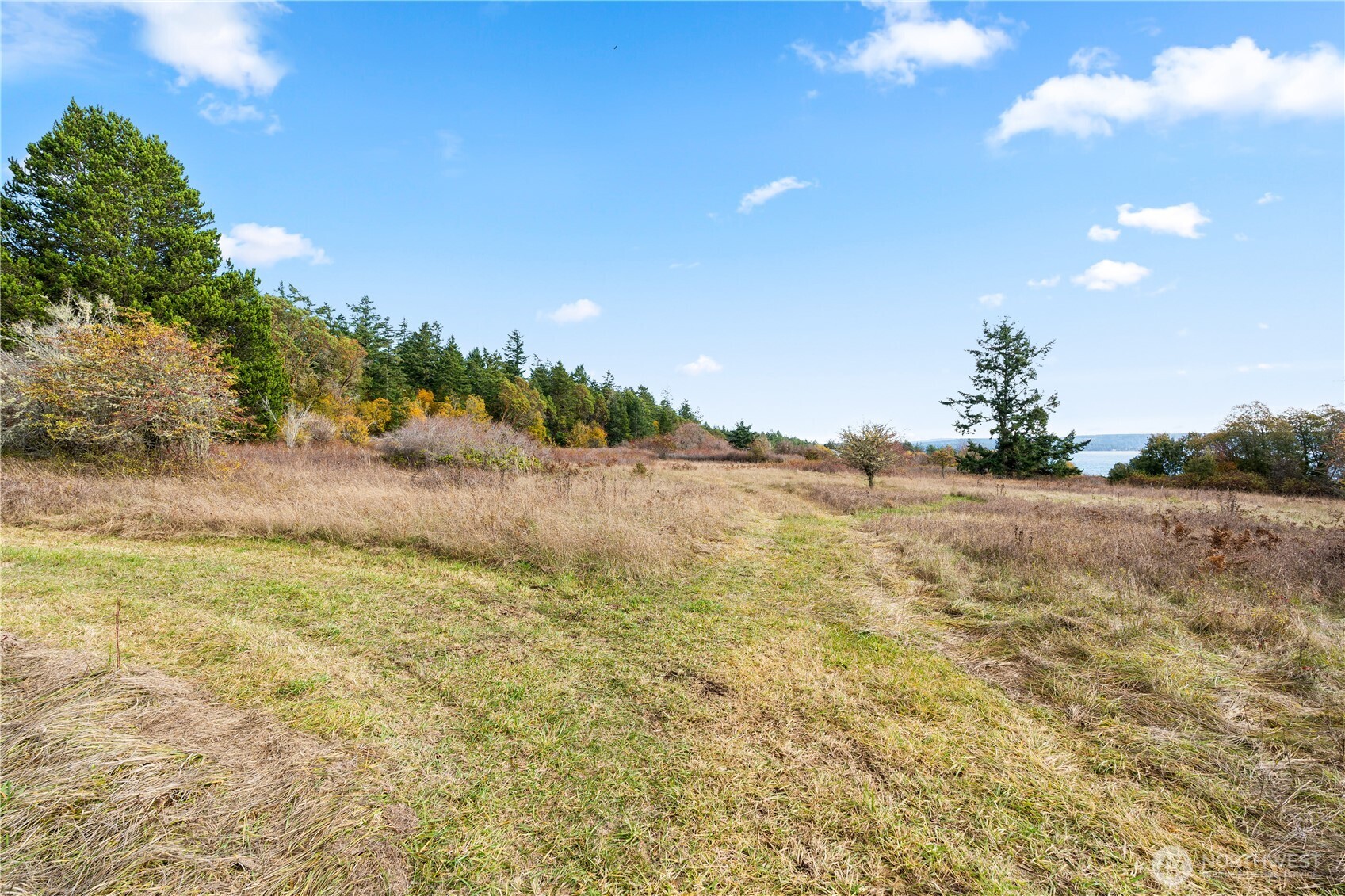 0 Pear Point Road Friday Harbor, WA 98250 - Photo 11 of 40 a view of ocean view with beach